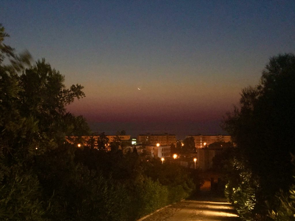 View from Villa Ersilia Soverato Hotel going up the gate leading to the lobby area